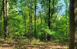 0 Highway 57, Macon, GA 31217