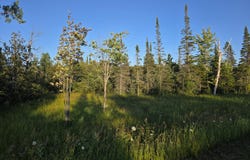 S Bound Rd, Rudyard, MI 49780