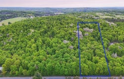 V/L S Coleman Road, Maple City, MI 49664