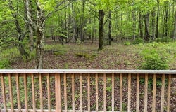 818 South Mountain Road, Conesville, NY 12076
