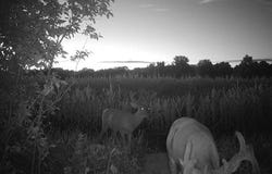 00000 W 237th St, Osage City, KS 66523