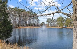 10 JUNIPER CT #64, MILLVILLE, DE 19967