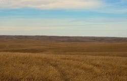 Oelrichs, SD 57763