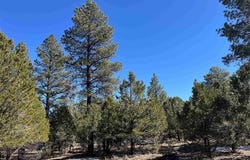 Badger Trail S, Ridgway, CO 81432