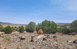Lot 884 Terra Ranch Rd, Seligman, AZ 86337