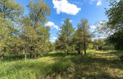 0 S Hwy 183, Lockhart, TX 78644