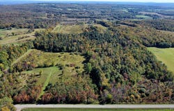 Flucker Hill Road, Forestville, NY 14138