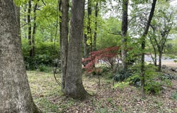 9842 County Road 91, Bryant, AL 35958
