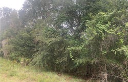 SW 137th Street, Waldo, FL 34231