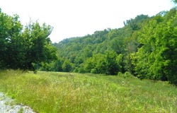 15694 State Highway 194 West, Pikeville, KY 41501
