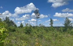 Lot 10 Tennille Oconee, Tennille, GA 31089