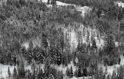 Wheelock Road, Sutton, VT 05867