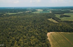 0 Middleburg Road, Lexington, TN 38351