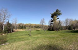 86441 CREAMERY RD, Butternut, WI 54514
