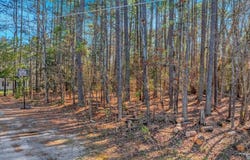 36 Birch Ct, Bracey, VA 23919