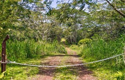 PAHOA KALAPANA RD, Pahoa, HI 96778