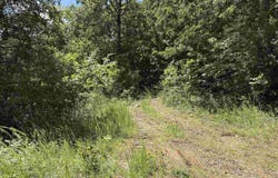 780-01045-000 Saint Clair Trail, Pyatt, AR 72672