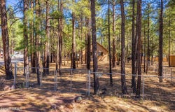 1148 N 43Rd Drive, Show Low, AZ 85901