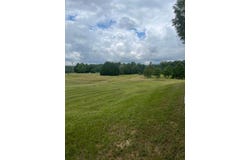 143 ALEXANDER TUBBS Ln, Nauvoo, AL 35578