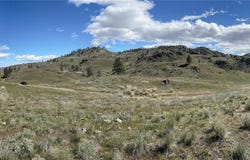 Nna Soap Lake Rd, Other, WA 98829