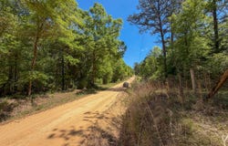 0 Grider Mock Rd, Red Level, AL 36474