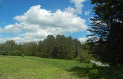 ON MAX RD, Pelican Lake, WI 54463