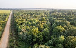 Little River 35 (40 acres), Ogden, AR 71822