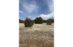 520 S ROCKCREEK Drive, Show Low, AZ 85901
