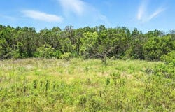 1640 Skyline Drive, Bluff Dale, TX 76433