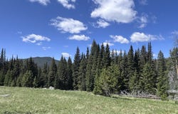 NHN Rimini Rd, Helena, MT 59601