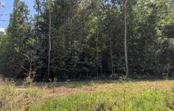 COUNTY ROAD 163 lot: 2 Parcels Incl, JEMISON, AL 35085