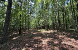 37-39 Field Trial Road, LANCASTER, VA 22503