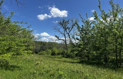 E Dade 22 Road, Arcola, MO 65603