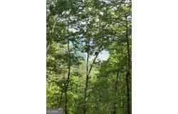 324 Adair, Ranger, GA 30734