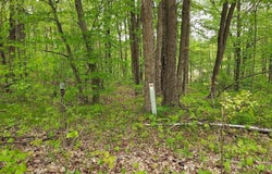 00 Buck Lane, Harrison, MI 48625