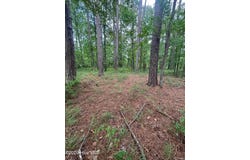 Winfield Lane lot: 94, Pinetown, NC 27865