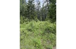 Good Hope Road, Athol, ID 83801