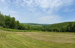 930 Reit Road, Otselic, NY 13464
