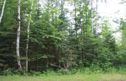 51XX Olson Rd, Brule, WI 54820