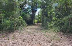Tbd LCR 775 W, Groesbeck, TX 76642