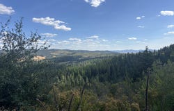Treetop Ln, Plummer, ID 83851