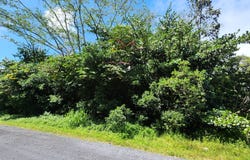 15-1746 9TH AVE, Keaau, HI 96749