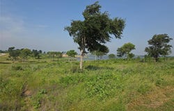 Lot 42 Barefoot Bay Boulevard, Corsicana, TX 75109