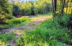 Hurd Road, Swan Lake, NY 12720