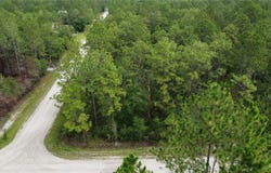 4694 CLOVE AVENUE, BUNNELL, FL 32110