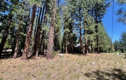 38 Tolowa Trail, Graeagle, CA 96103