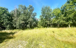 3843 Pre-Emption Road, Tyrone, NY 14891