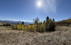 HONEYSUCKLE Ln, CURLEW, WA 99118