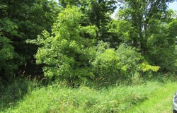 4574 Township rd 273, Bellefontaine, OH 43311