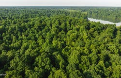 0 S Bogus Hollow Rd., Troy, TN 38260